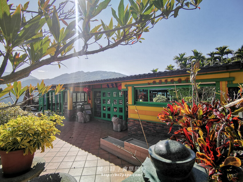 嘉義。梅山》太興龍王金殿+原住民休息站+牛伯伯茶塢+樟樹湖櫻花