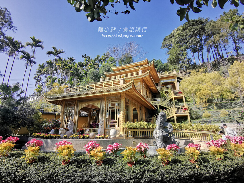 嘉義。梅山》太興龍王金殿+原住民休息站+牛伯伯茶塢+樟樹湖櫻花