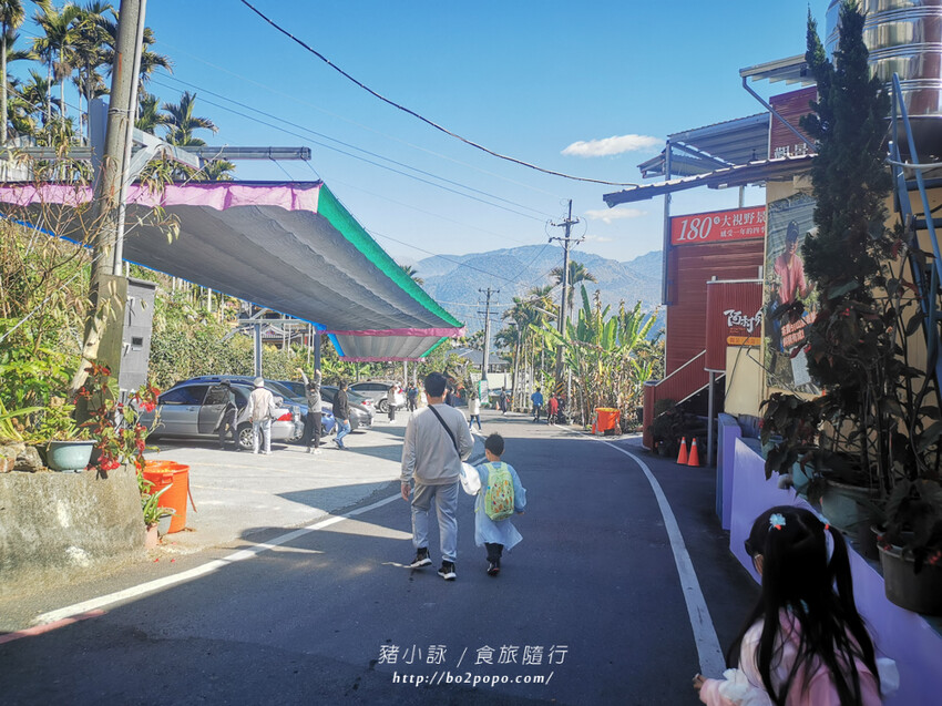 嘉義。梅山》太興龍王金殿+原住民休息站+牛伯伯茶塢+樟樹湖櫻花