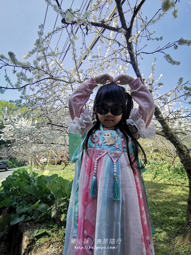 嘉義。梅山》太興龍王金殿+原住民休息站+牛伯伯茶塢+樟樹湖櫻花