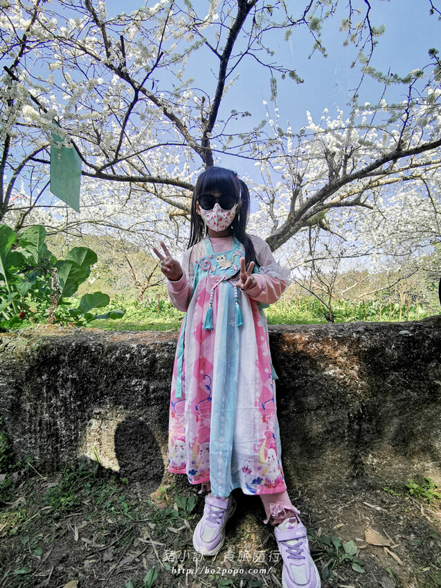 嘉義。梅山》太興龍王金殿+原住民休息站+牛伯伯茶塢+樟樹湖櫻花