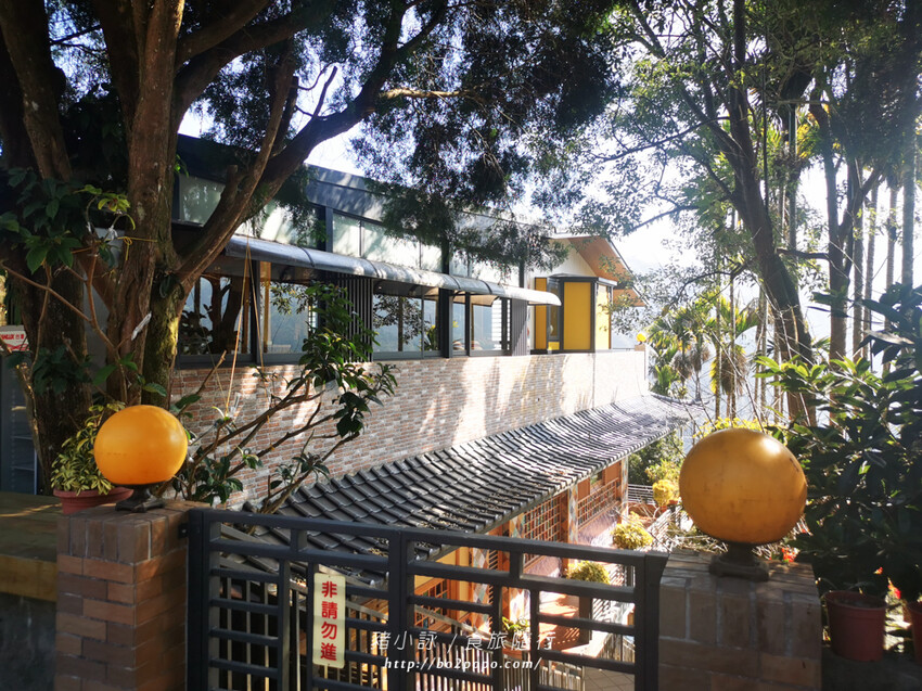 嘉義。梅山》太興龍王金殿+原住民休息站+牛伯伯茶塢+樟樹湖櫻花