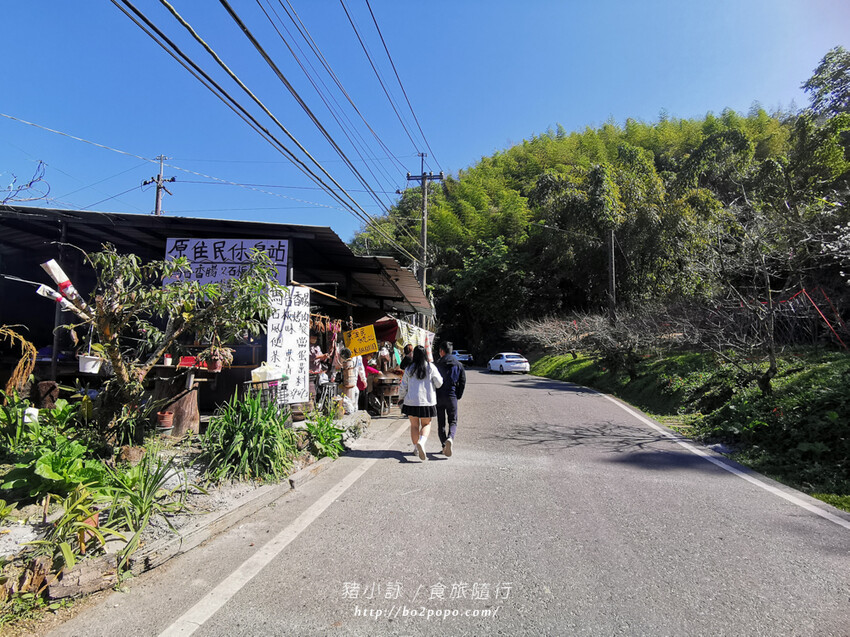嘉義。梅山》太興龍王金殿+原住民休息站+牛伯伯茶塢+樟樹湖櫻花