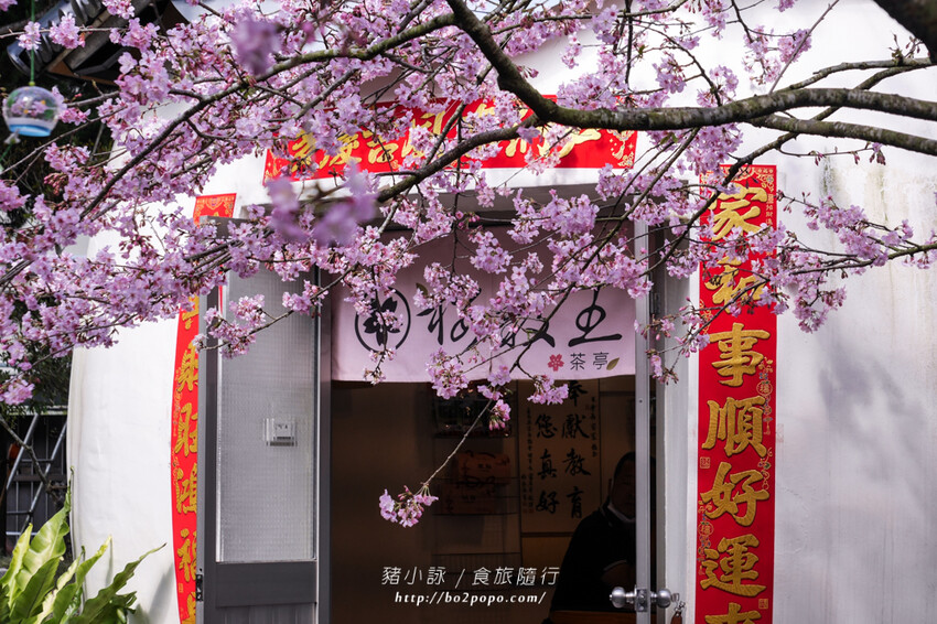 嘉義。梅山》太興龍王金殿+原住民休息站+牛伯伯茶塢+樟樹湖櫻花