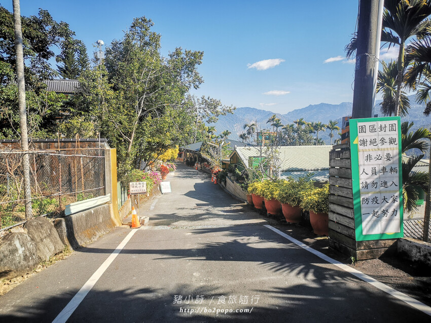 嘉義。梅山》太興龍王金殿+原住民休息站+牛伯伯茶塢+樟樹湖櫻花