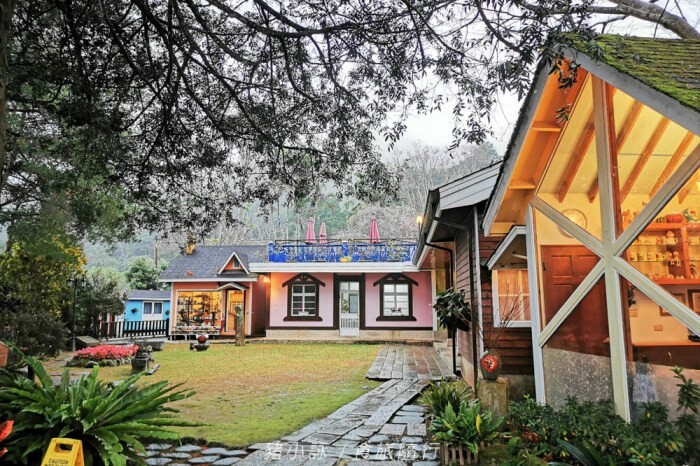 嘉義。梅山》太興龍王金殿+原住民休息站+牛伯伯茶塢+樟樹湖櫻花