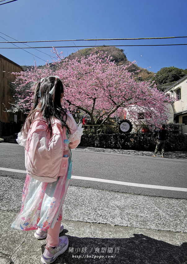 嘉義。梅山》太興龍王金殿+原住民休息站+牛伯伯茶塢+樟樹湖櫻花