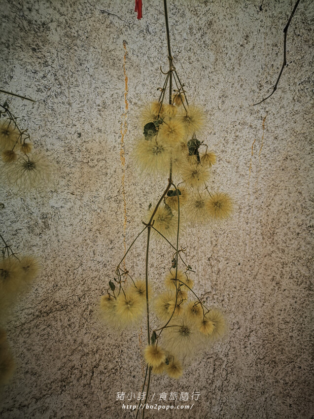 嘉義。梅山》太興龍王金殿+原住民休息站+牛伯伯茶塢+樟樹湖櫻花