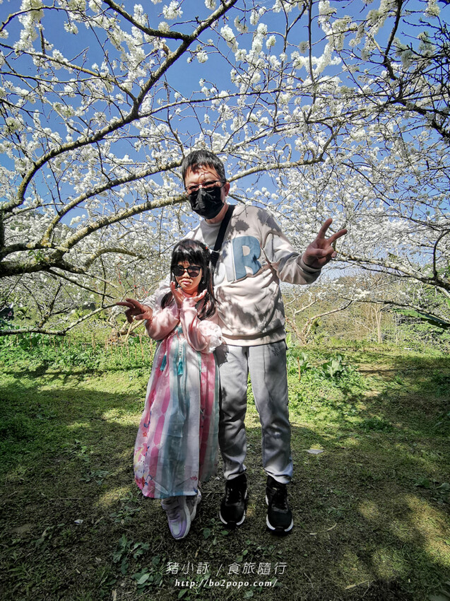 嘉義。梅山》太興龍王金殿+原住民休息站+牛伯伯茶塢+樟樹湖櫻花