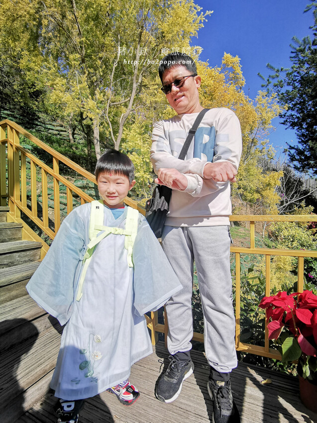 嘉義。梅山》太興龍王金殿+原住民休息站+牛伯伯茶塢+樟樹湖櫻花