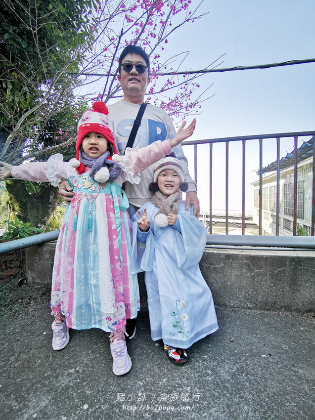 嘉義。梅山》太興龍王金殿+原住民休息站+牛伯伯茶塢+樟樹湖櫻花