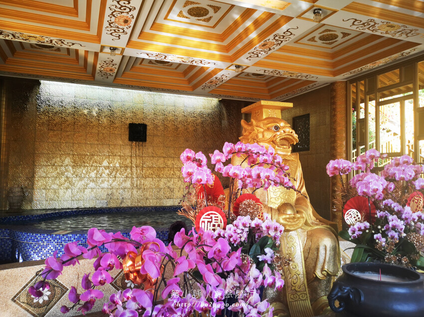 嘉義。梅山》太興龍王金殿+原住民休息站+牛伯伯茶塢+樟樹湖櫻花