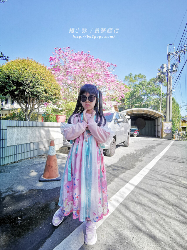 嘉義。梅山》太興龍王金殿+原住民休息站+牛伯伯茶塢+樟樹湖櫻花