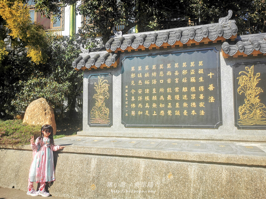 嘉義。梅山》太興龍王金殿+原住民休息站+牛伯伯茶塢+樟樹湖櫻花