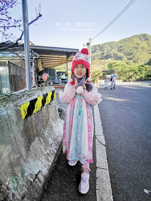 嘉義。梅山》太興龍王金殿+原住民休息站+牛伯伯茶塢+樟樹湖櫻花