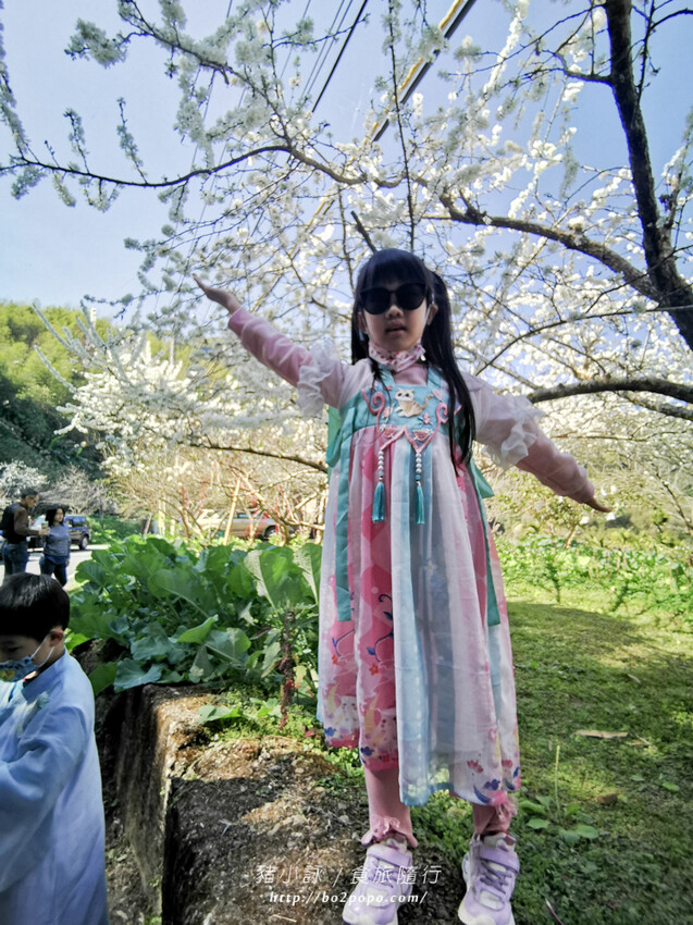 嘉義。梅山》太興龍王金殿+原住民休息站+牛伯伯茶塢+樟樹湖櫻花