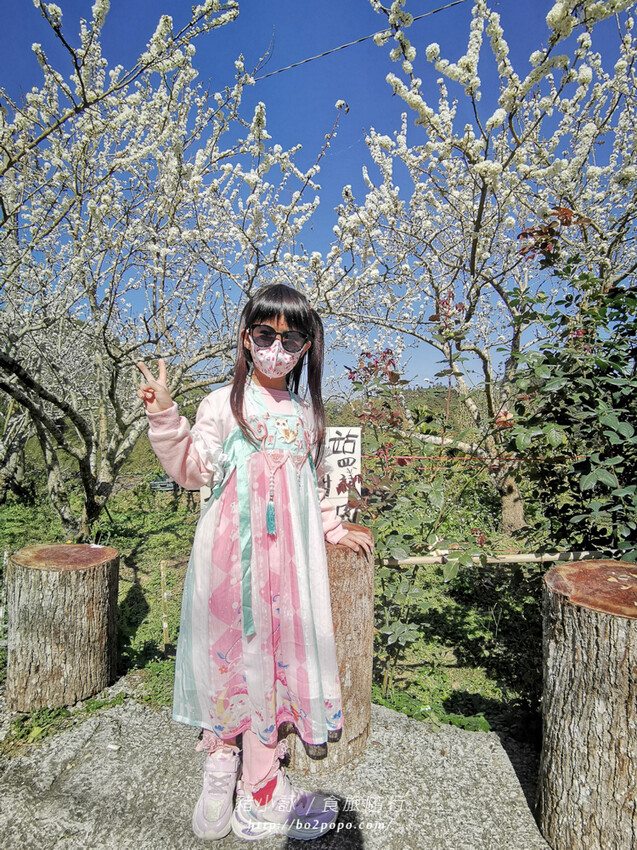 嘉義。梅山》太興龍王金殿+原住民休息站+牛伯伯茶塢+樟樹湖櫻花