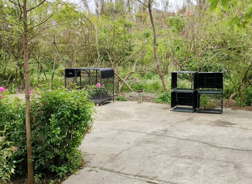 【桃園】一票到底300多個親子遊樂設施! 台灣地景花園