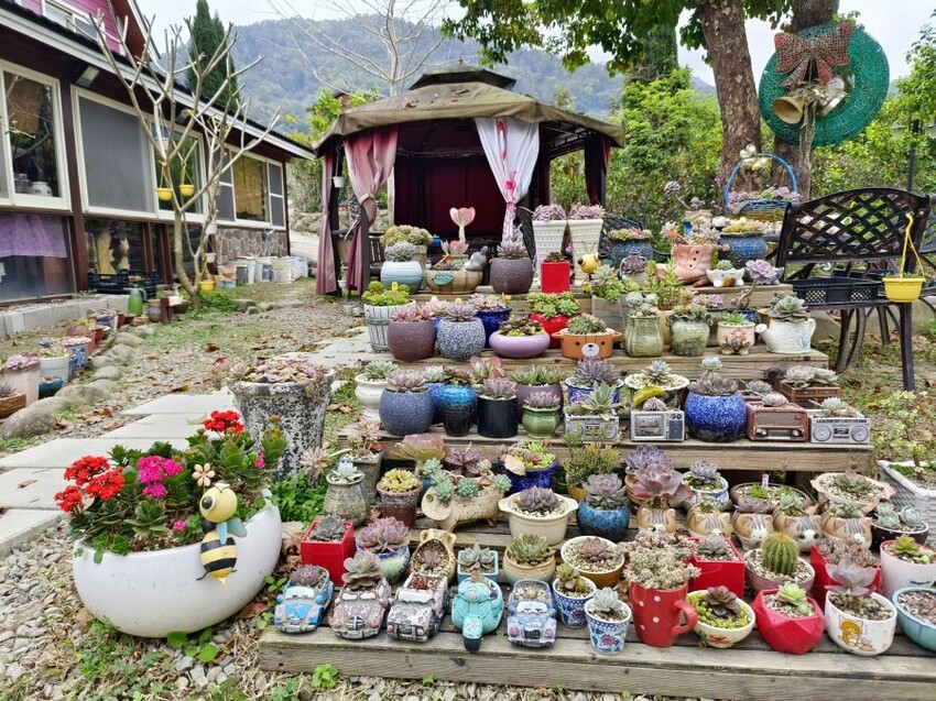 【新竹】搭棚、木屋、包棟通通有，吉娜的家免裝備露營!