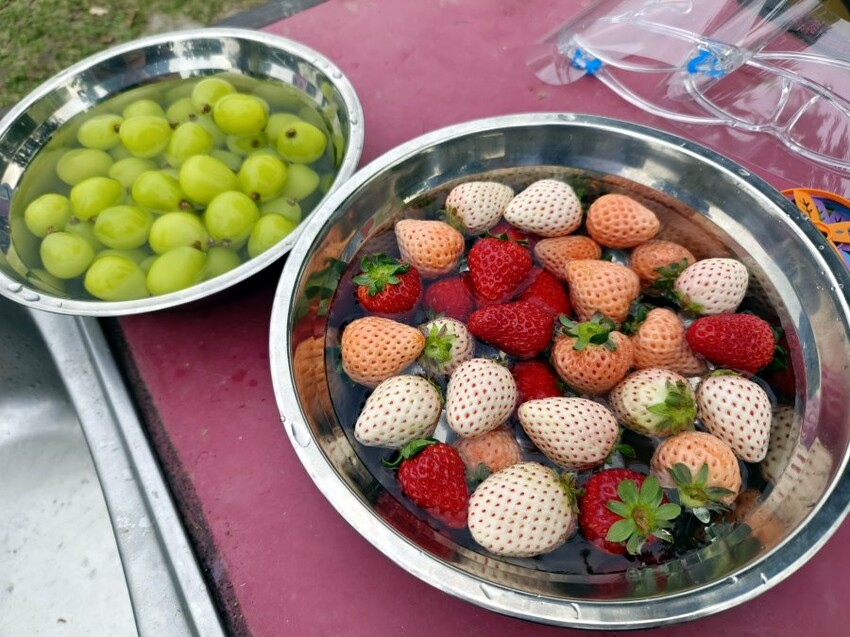 【新竹】搭棚、木屋、包棟通通有，吉娜的家免裝備露營!