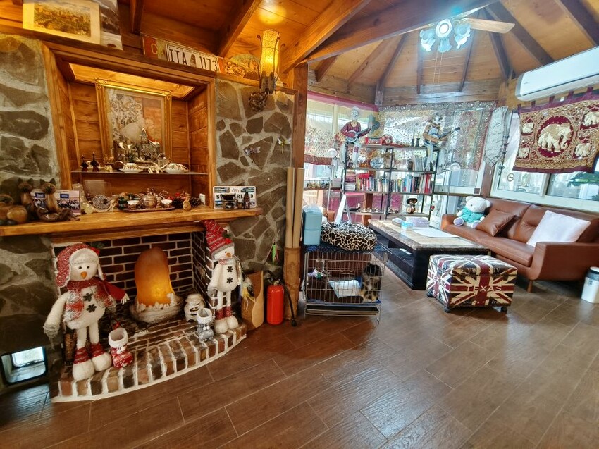 【新竹】搭棚、木屋、包棟通通有，吉娜的家免裝備露營!