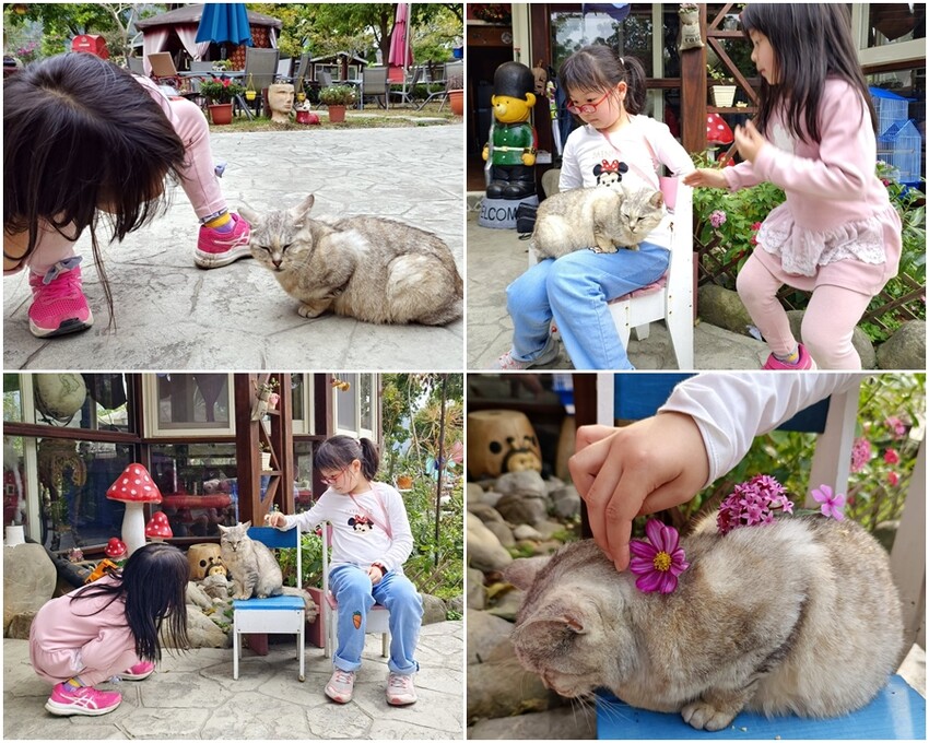 【新竹】搭棚、木屋、包棟通通有，吉娜的家免裝備露營!