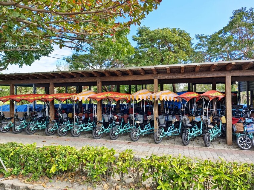 【台東旅遊】台東森林公園親子單車之旅．孩子最愛的探險路線!