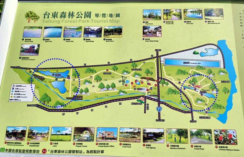 【台東旅遊】台東森林公園親子單車之旅．孩子最愛的探險路線!