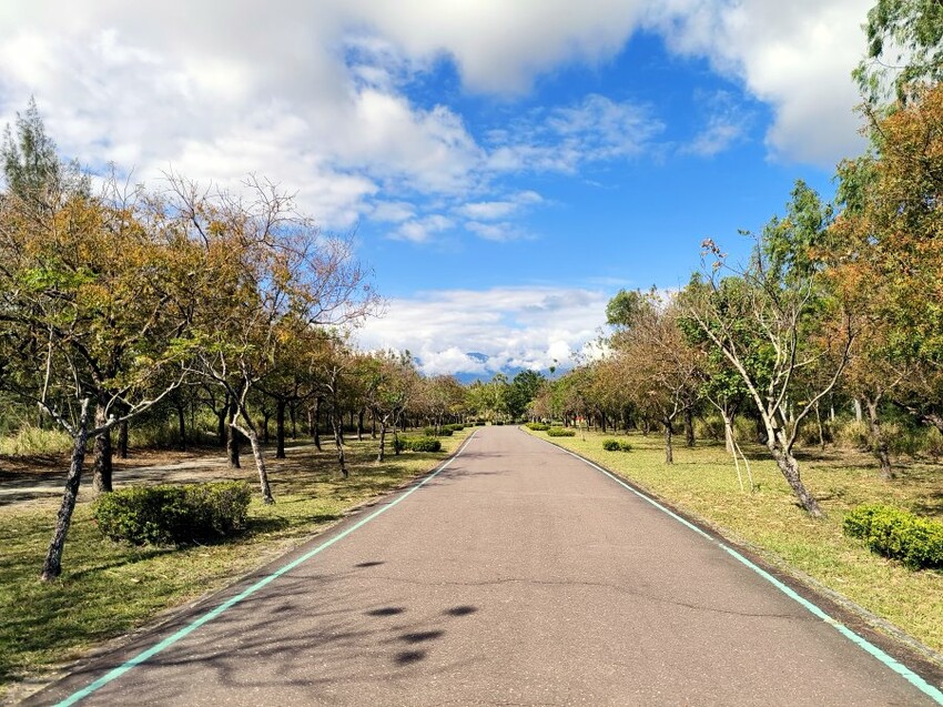 【台東旅遊】台東森林公園親子單車之旅．孩子最愛的探險路線!