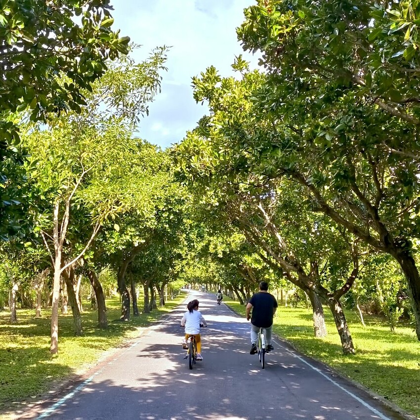 【台東旅遊】台東森林公園親子單車之旅．孩子最愛的探險路線!