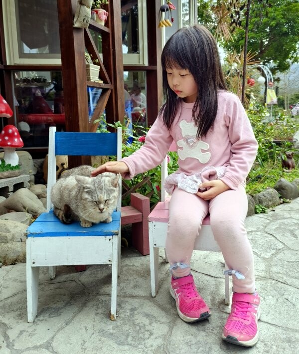 【新竹】搭棚、木屋、包棟通通有，吉娜的家免裝備露營!