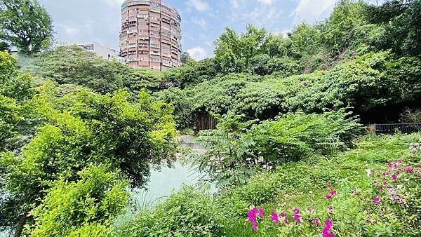 大IMG_9120 上午10.58.34.jpeg