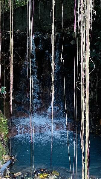 大IMG_9136 上午10.58.34.jpeg