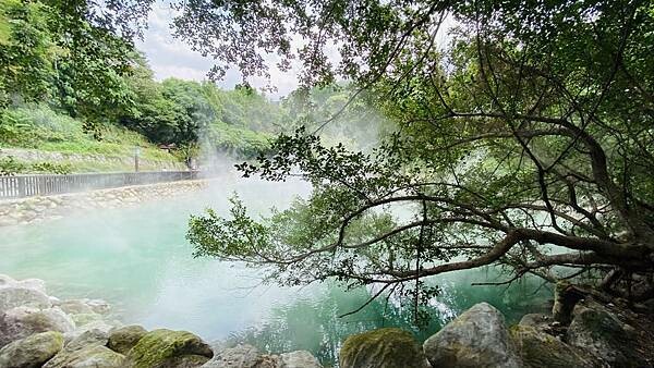 大IMG_9111 上午10.58.34.jpeg