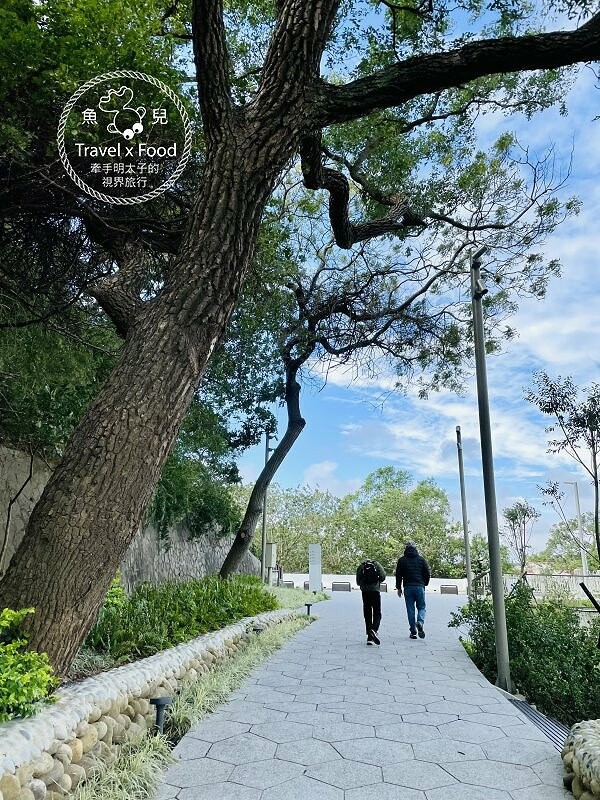 免門票，好停車！友善全齡環湖步道，騎自行車，玩SUP，踩天鵝船，180度賞景，人文休閒青草湖 @魚兒 x 牽手明太子的「視」界旅行