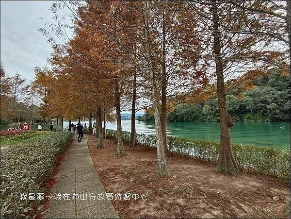 向山行政暨遊客中心05.jpg
