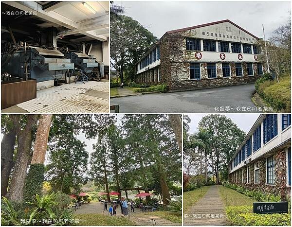 日月老茶廠12.jpg
