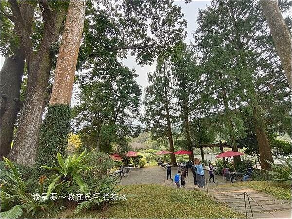 日月老茶廠07.jpg
