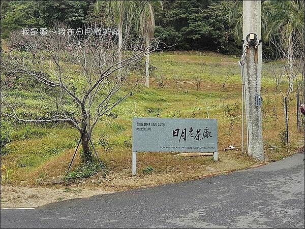 日月老茶廠01.jpg