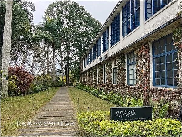 日月老茶廠05.jpg