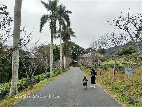 日月老茶廠03.jpg