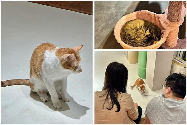 LINE_ALBUM_2022626 _2_220627_13.jpg