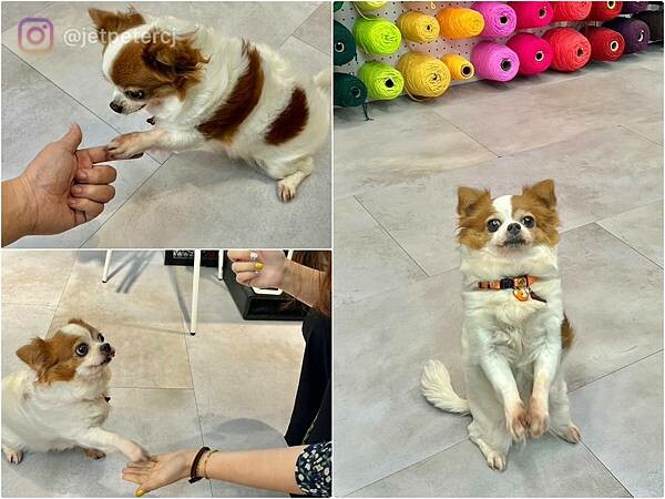 LINE_ALBUM_20230327 _3_230403_11.jpg