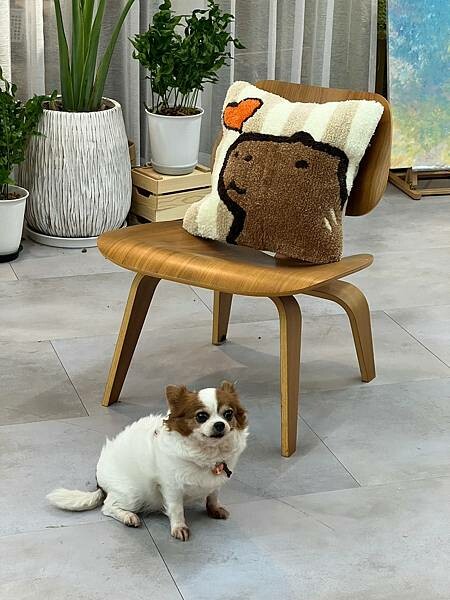 LINE_ALBUM_20230327 _3_230403_6.jpg