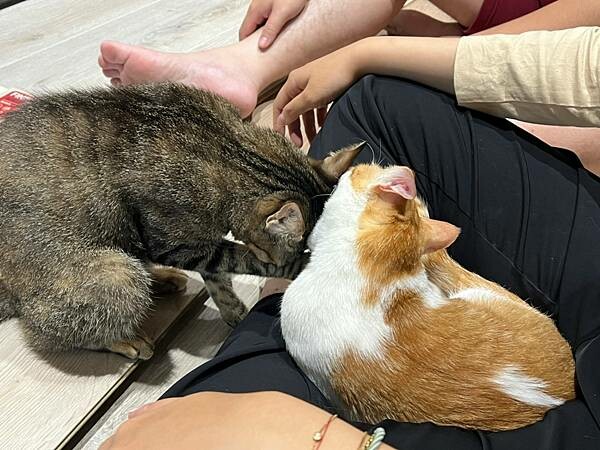 LINE_ALBUM_2022626 _2_220627_8.jpg