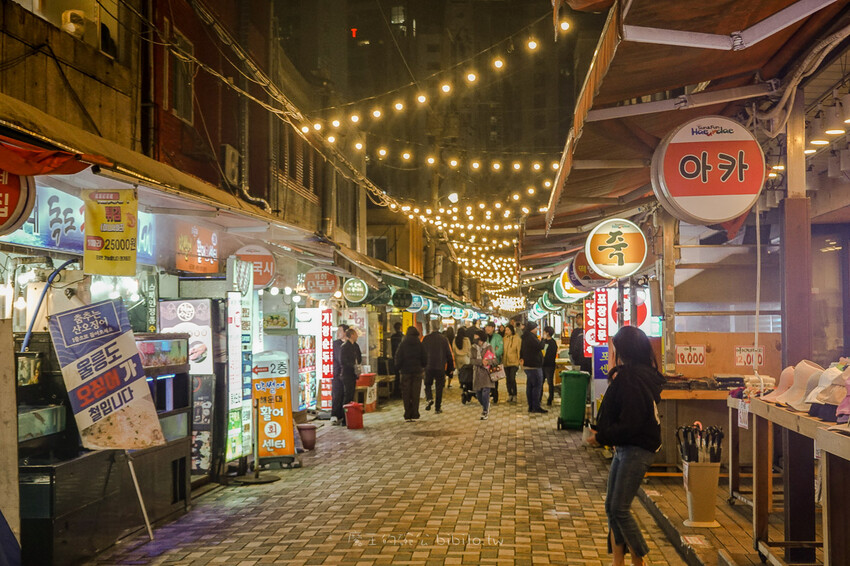 台灣虎航 Tigerair Taiwan Ｘ魔王 直飛釜山看櫻花品嚐韓國料理