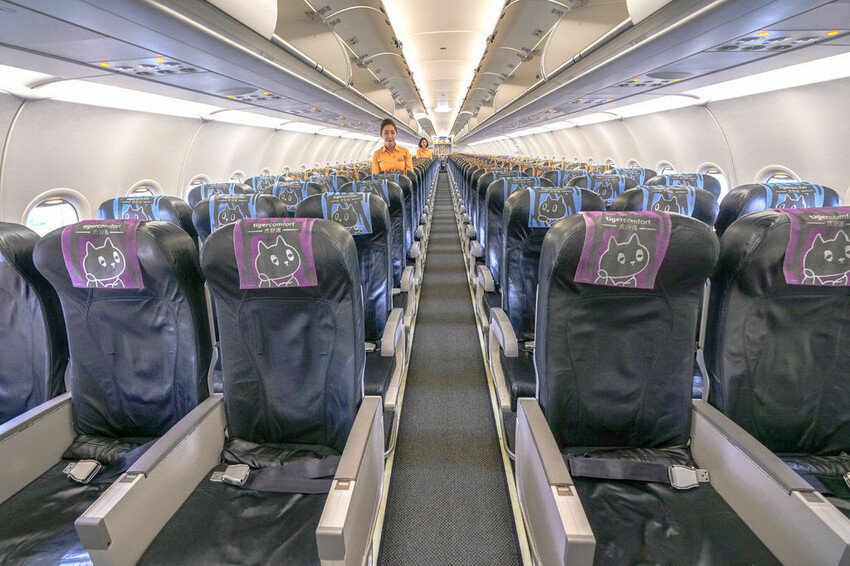 大渚生態公園櫻花 X魔王 釜山櫻花景點 同時可以拍到油菜花跟櫻花