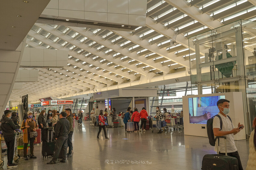 台灣虎航 Tigerair Taiwan Ｘ魔王 直飛釜山看櫻花品嚐韓國料理