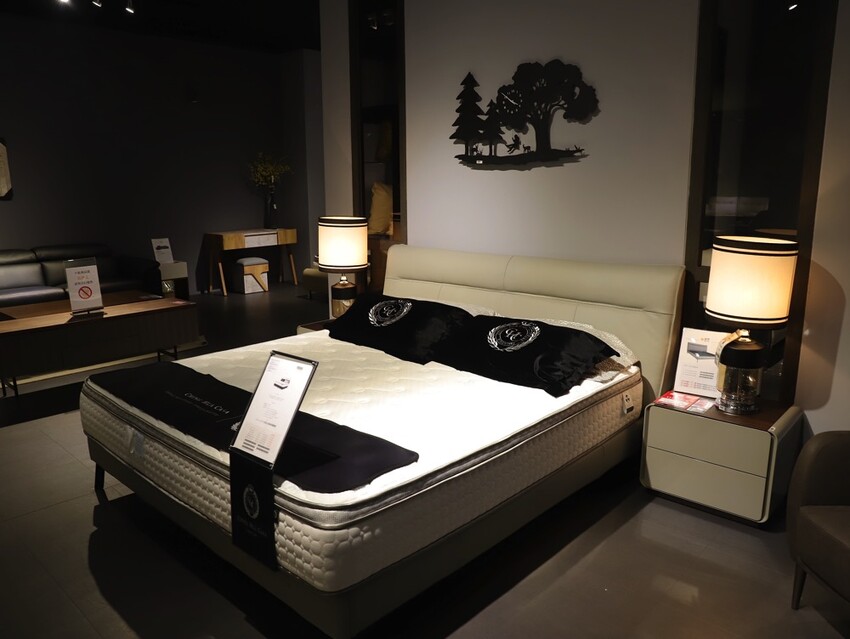 晶華傢俱台南店/台南家具推薦:從平價到奢華,一站購足/床墊床架餐桌,專屬傢配師規劃新家空間 - 進食的巨鼠