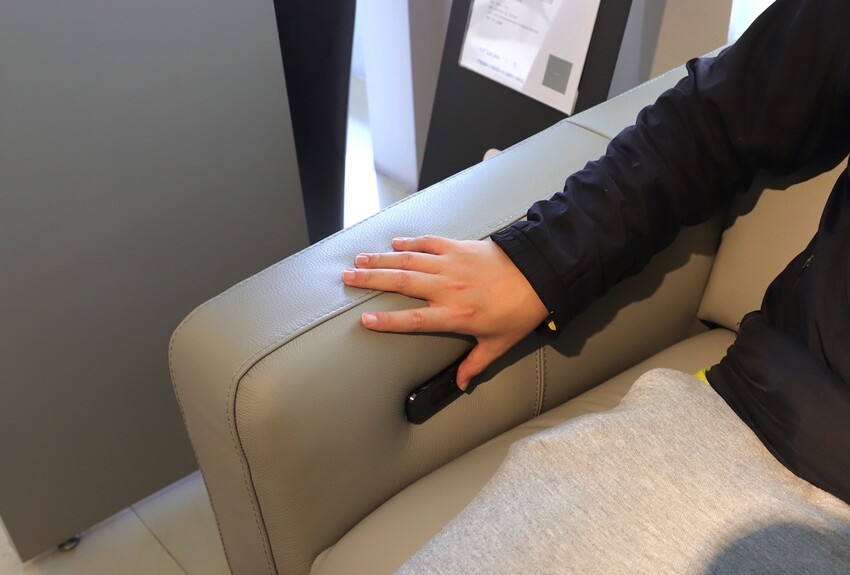 晶華傢俱台南店/台南家具推薦:從平價到奢華,一站購足/床墊床架餐桌,專屬傢配師規劃新家空間 - 進食的巨鼠